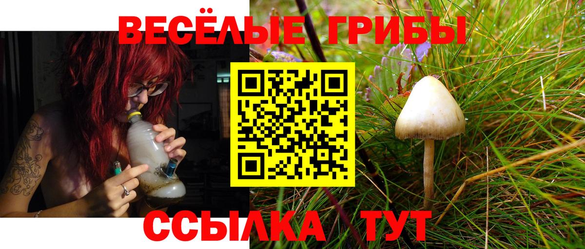 Псилоцибиновые грибы Cubensis Кольчугино