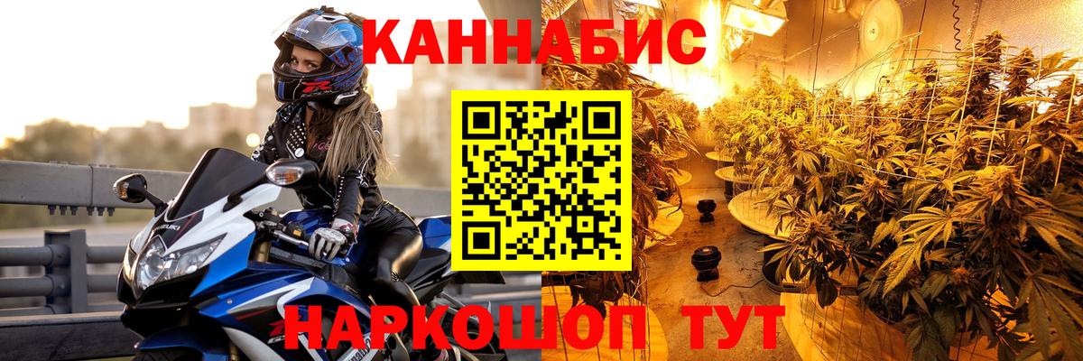 Каннабис AK-47 Кольчугино